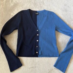 Two-Tone Blue Button down Sweater